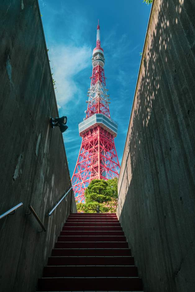 東京タワー百景」 定番スポットからライトアップの絶景まで、おすすめ